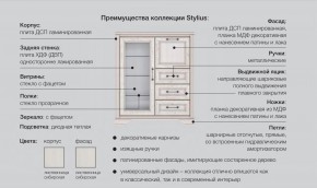 Прихожая модульная Стилиус в Осе - osa.magazinmebel.ru | фото - изображение 2